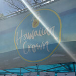 Hawaiian Crown Pineapple - 