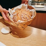 オルタンシア - 