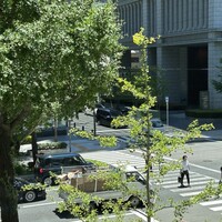 東京竹葉亭 南御堂店 -  東京竹葉亭 南御堂店 -