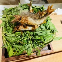 常 - 