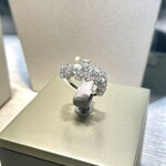 トゥールダルジャン - ヴァンクリーフ＆アーペル