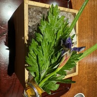 東山 吉寿 - 