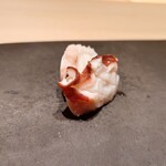 鮨おおね田 - 噴火湾のタコ