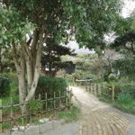 蕎麦屋まこと - 