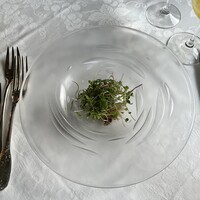 マダム・トキ - 