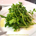 ガストロノミア ヨシ - 