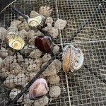 魚太郎 浜焼きバーベキュー  - 