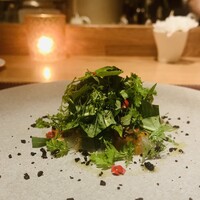 ARMONICO - ②【関鯵のカルパッチョ、ガスパチョのソース】
                  ★ レタス+オカヒジキのサラダ仕立て、ピンクペッパー+ブラックオリーブパウダー掛け