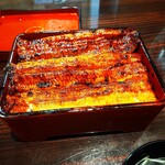 うなぎ 魚政 - うな重
