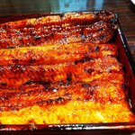 うなぎ 魚政 - うな重