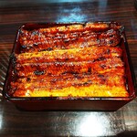 うなぎ 魚政 - うな重