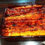 うなぎ 魚政 - うな重