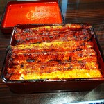 うなぎ 魚政 - うな重