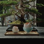 松葉屋茶寮 - 