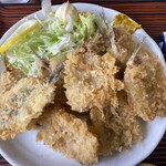 そば処　ひろせ - 乗り切れないほどの9枚のフライ