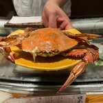 江戸前寿司 竹 - 