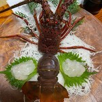 冨久家 - 料理写真: