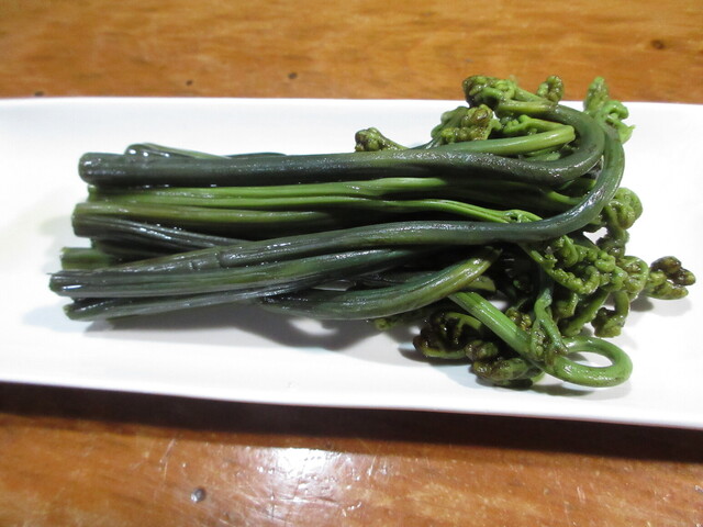 飲み処 こはく - 新庄（居酒屋）の写真