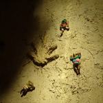 エルボラーチョ - 壁をよく見るとこんな遊び心が