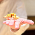 鮨 一幸 - 鮑ウニ