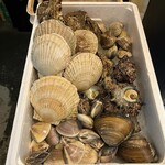 蓮 - 本日の新鮮な貝類