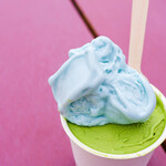 FLOR GELATO ITALIANO - 