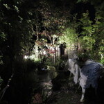 和膳洋菜 みすとらる - 