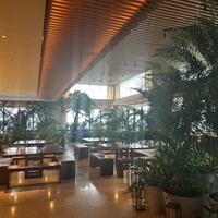 The Blue Room - 