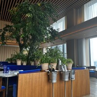 The Blue Room - 