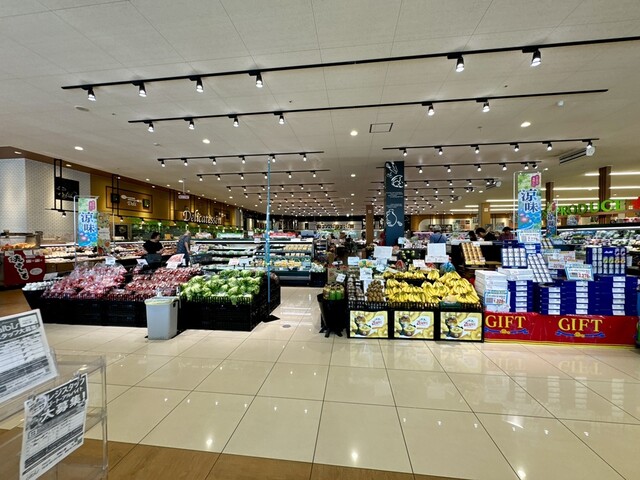 aibis Nakamura Nise Ten photo 4