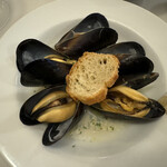 ドンナセルバティカ - 