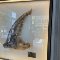 筑紫樓 銀座店 - 