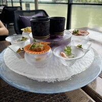 スミレオオサカ -  スミレオオサカ -