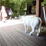 ハーベスト ナガイファーム - 