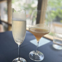 セルサルサーレ - 