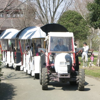 モーモーソフトの家_2