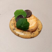 真白 - 帆立貝柱