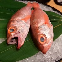 泉岳寺門前 紋屋 - 