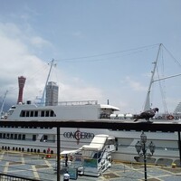 THE KOBECRUISE コンチェルト - 