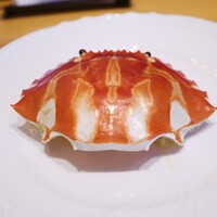 センティウ - 