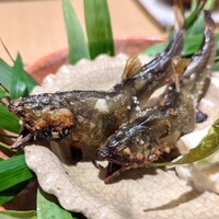 青蓮院門跡前 月おか - 