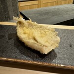 麻布十番 真田 - 