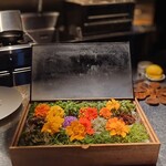 アルギュロス - 