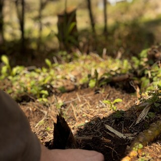 手間を惜しまず丹精込めて仕上げる、島根県の食材を活かした逸品