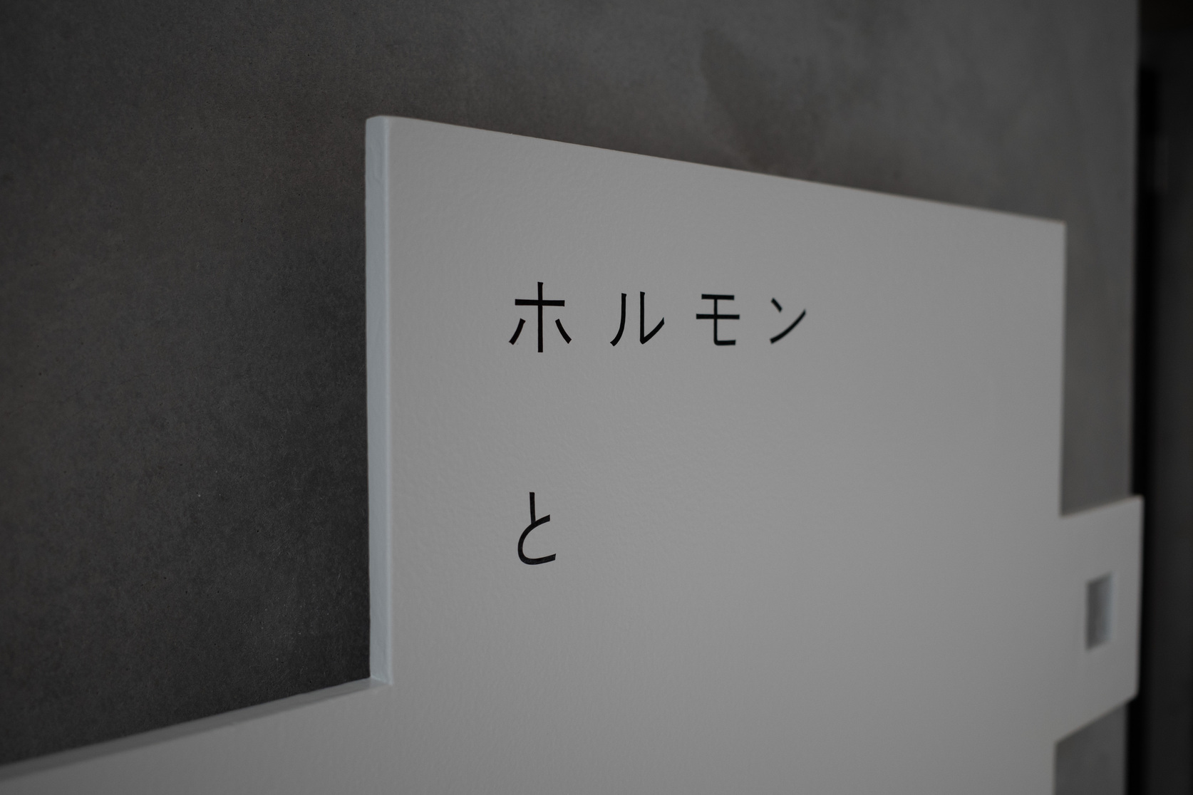 ホルモンと∞