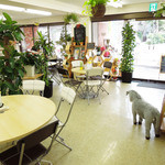 250Nikomaru Honey Cafe Boom Boom - 緑がいっぱい、明るい店内です。
