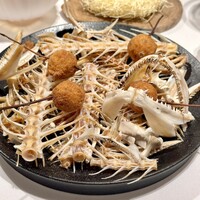 macua - 