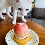 パティスリープロムナード - 