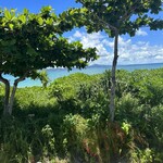 レストラン ふりっぱー - 