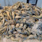 MUNGKORN SEAFOOD - 
